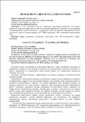 Зображення мініатюри